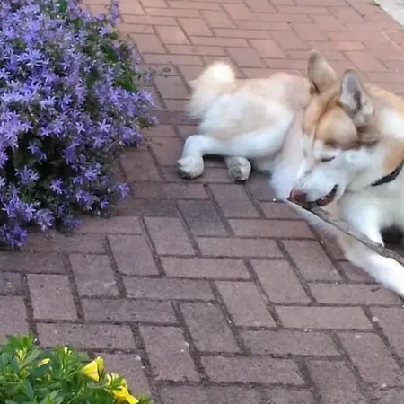 Ξενοδοχείο Meuble Patrizia