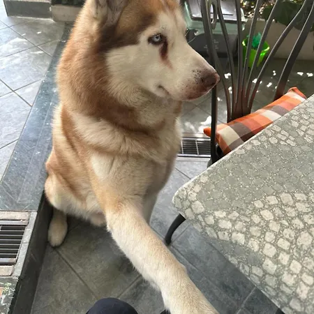 Отель Meuble Patrizia Градо