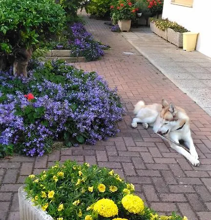 Hotel Meuble Patrizia