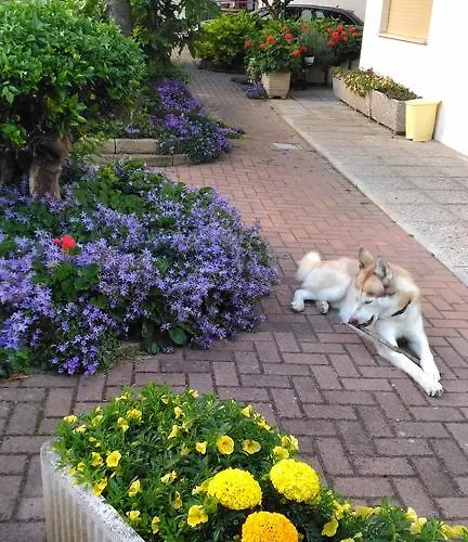 Hotel Meuble Patrizia